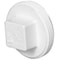 Charlotte Pipe And Foundry Charlotte Pipe Schedule 40 6 in. MPT PVC Clean-Out Plug 1 pk PVC00106 1400 - alternate 1